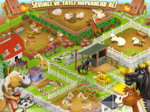 Hay Day