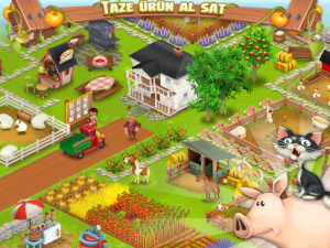 Hay Day2